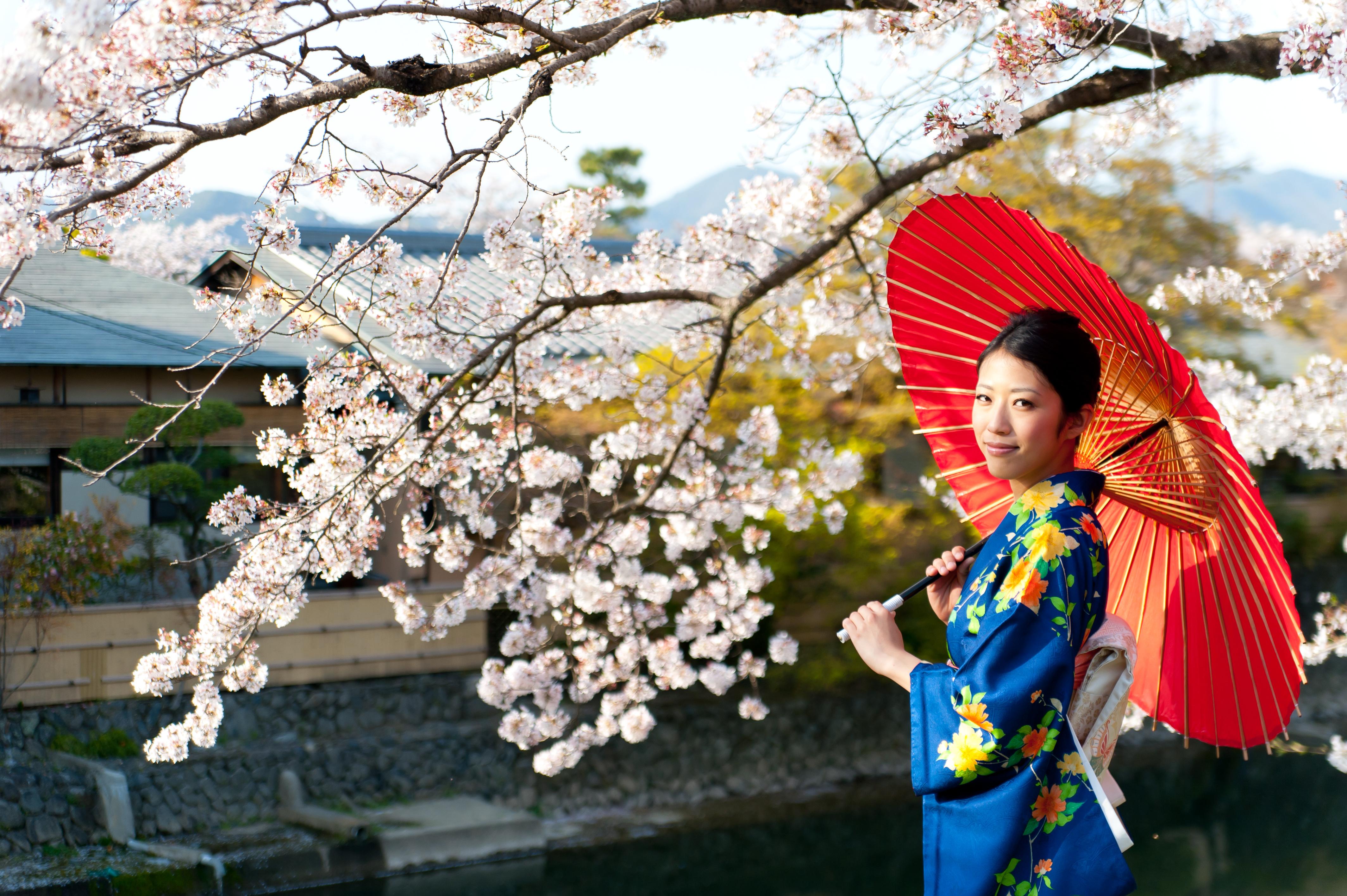 Japan The Home Of World S Most Beautiful Festivals Including Cherry Blossom Lantern Festival Documentarytube