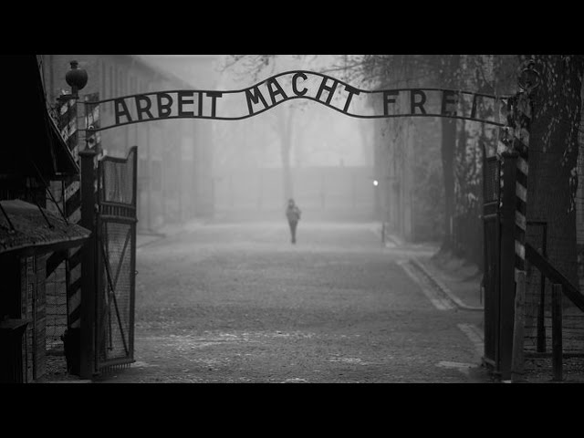 One Day In Auschwitz The Death Factory Throurh The Eyes Of A Survivor 