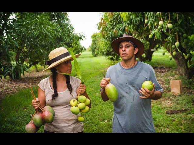 The Fruit Hunters Exotic Fruits Cultivation Documentarytube