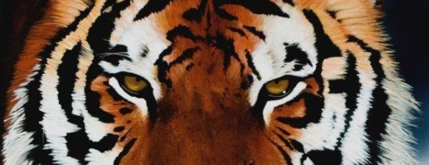 Betonline and Tigergaming Launch Series of Hot Promos for this Spring