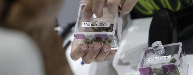 Getting High in Vegas? New Casino Rule Might Keep You Off the Tables