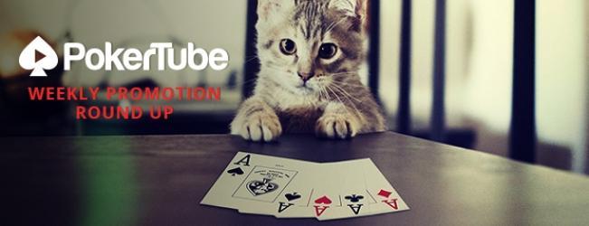 PokerTube Weekly: We are Back! PokerTube Weekly: We are Back!