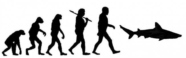Online Poker: Then, Now and the Future Online Poker: Then, Now and the Future