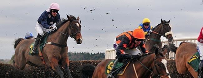 Poker Bets - A Lesson from Horse Racing Poker Bets - A Lesson from Horse Racing