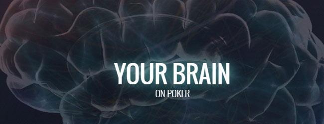 Brain