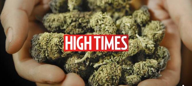 High Times Looks to Start Casino Services
